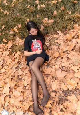 锦衣卫甄子丹_BD英语在线观看电视
